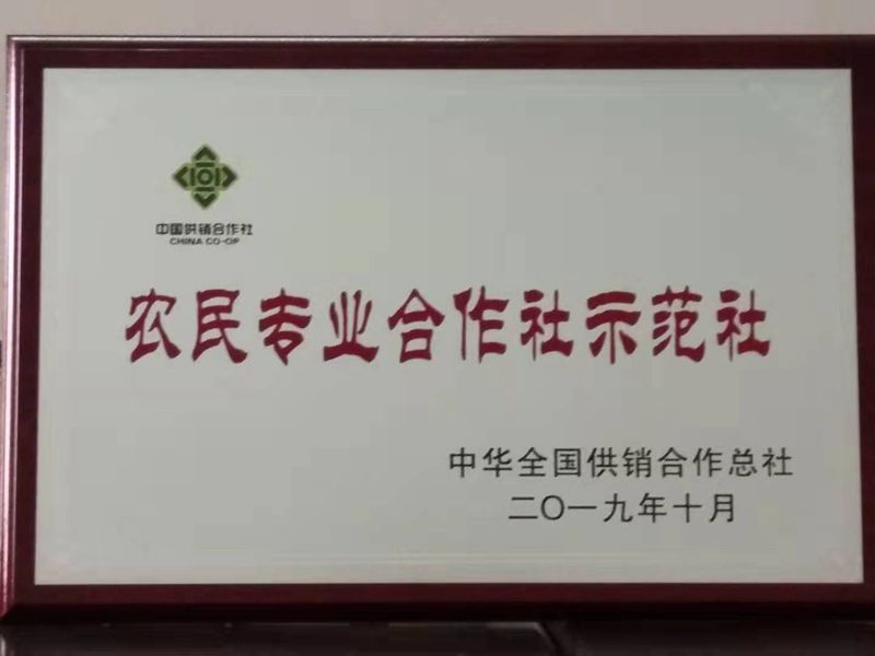 dd306e989c167c0043f513b01d2af72_.jpg